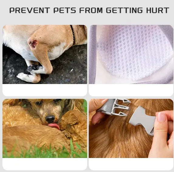 Genouillère de protection pour chien