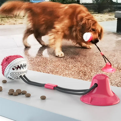 Jouet interactif pour chien avec boule à ventouse