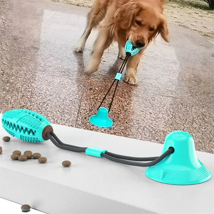 Jouet interactif pour chien avec boule à ventouse