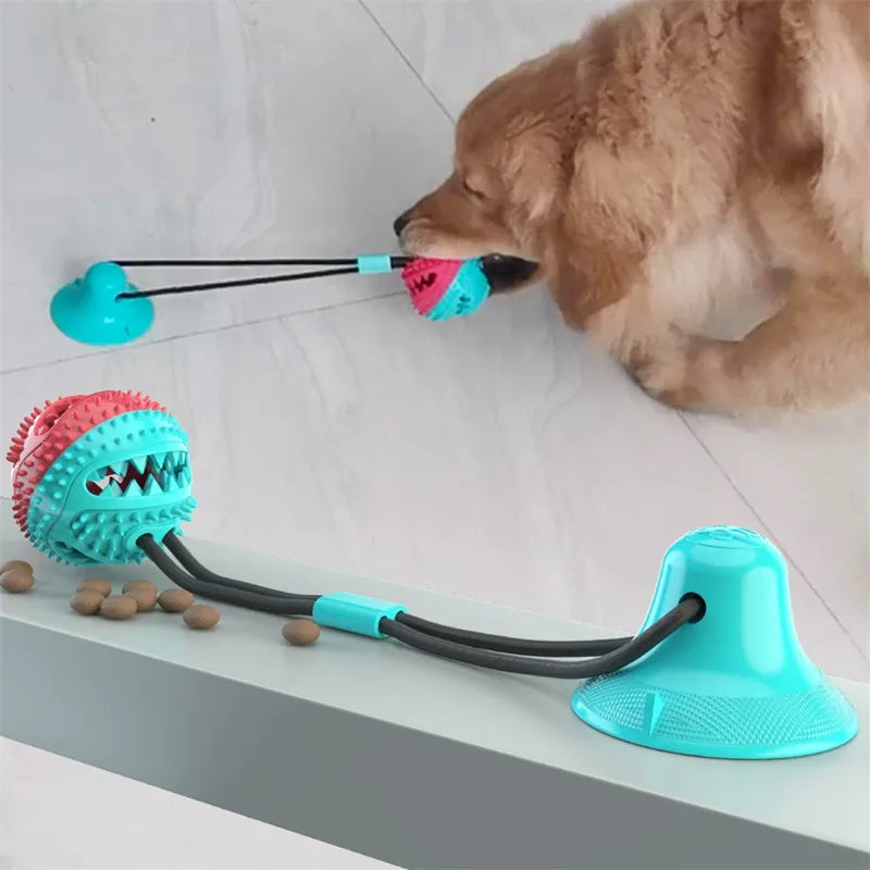 Jouet interactif pour chien avec boule à ventouse